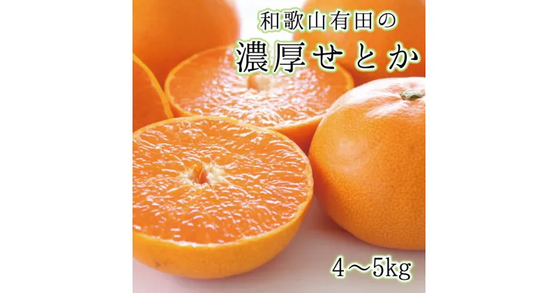 【ふるさと納税】 みかん 【高級】 和歌山有田の濃厚せとか　約4～5kg　※2025年2月中旬～3月上旬（順次発送予定 / みかん ミカン オレンジ 柑橘 フルーツ 果物 旬