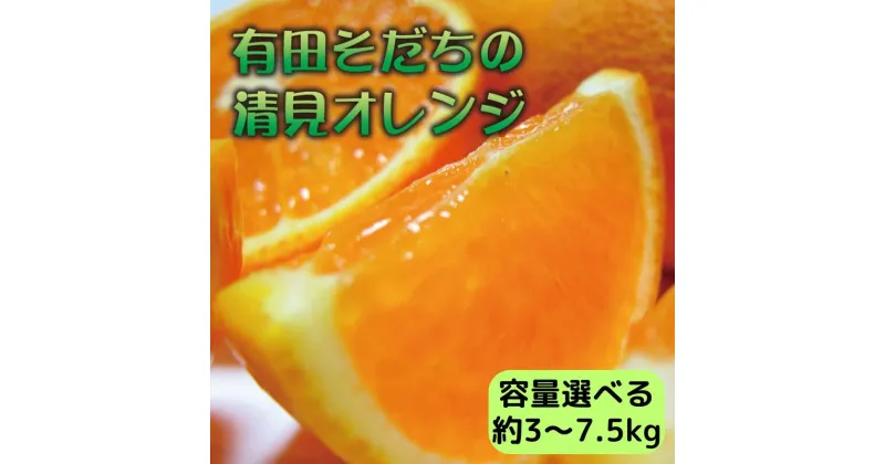 【ふるさと納税】【2025年3月上旬～発送】有田育ちの完熟清見オレンジ(ご家庭用)　選べる容量！ / みかん ミカン 柑橘 清見 きよみ オレンジ フルーツ 果物 旬※北海道・沖縄・離島配送不可