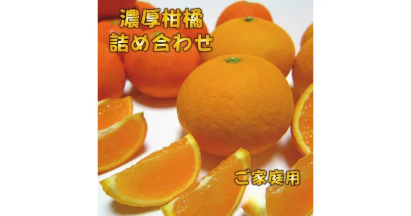 【ふるさと納税】有田育ちの濃厚柑橘詰め合わせセット(ご家庭用) 【選べる容量】約1.5kg 約2.5kg ※2025年1月中旬～4月下旬順次発送予定 / 和歌山 ミカン オレンジ 柑橘 フルーツ 果物 くだもの ブランド 旬※北海道・沖縄・離島配送不可