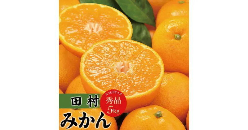 【ふるさと納税】【先行予約】田村みかん　秀品5キロ　サイズおまかせ/紀伊国屋文左衛門本舗　◆2024年11月下旬〜2025年1月中旬頃に発送(お届け日指定不可) / みかん 蜜柑 くだもの フルーツ 果物 柑橘 先行予約