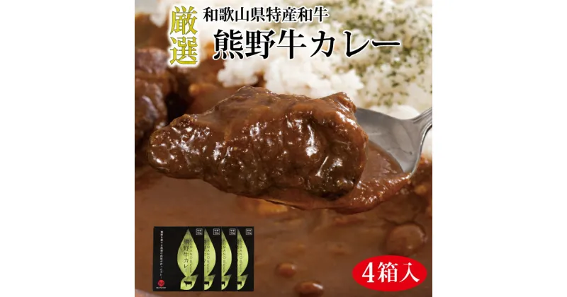 【ふるさと納税】熊野牛カレー 4箱