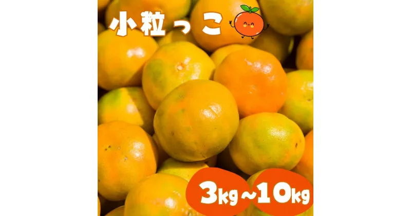 【ふるさと納税】みかん 小玉 ss 温州みかん 「小粒っこ」 3kg 5kg 10kg 《 レビューキャンペーン 実施中 ! 》7000円 ( 極早生 早生 中生 晩稲)【2S～3Sサイズおまかせ】【2024年10月中旬～2025年1月下旬までに順次発送】＜味好農園＞/みかん 温州みかん 和歌山県 有機