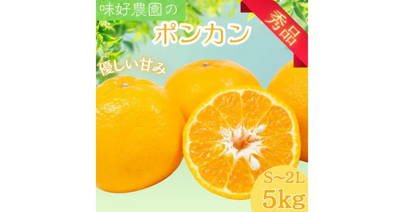 【ふるさと納税】 ポンカン 5kg 秀品【S~2Lのサイズおまかせ】【2025年1月下旬から2025年2月中旬頃に順次発送】＜味好農園＞《 レビューキャンペーン 実施中 ! 》 11000 11000円 / 柑橘 和歌山県 有機 みかん ミカン ぽんかん