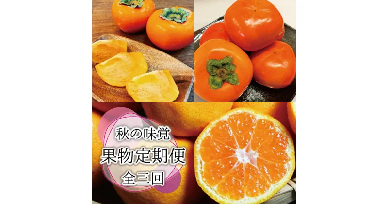 【ふるさと納税】【全3回定期便】秋の味覚 果物定期便　柿・みかん　旬のフルーツを毎月お届け♪