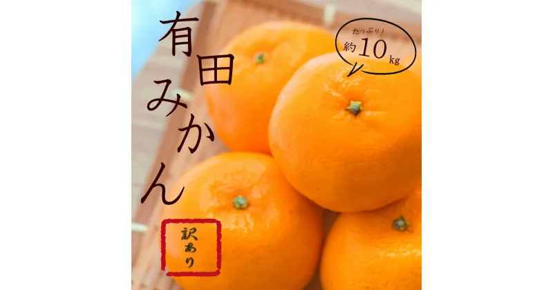 【ふるさと納税】紀州有田みかん 【訳あり】約10kg サイズおまかせ(2L〜2S ) いずれかお届け / みかん ミカン 柑橘 有田みかん 和歌山