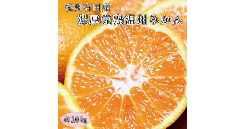 【ふるさと納税】 完熟有田みかん 10kg 先行予約 ※2024年11月下旬頃～2025年1月下旬頃に順次発送予定(お届け日指定不可) / みかん 柑橘類 先行予約 人気