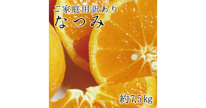 【ふるさと納税】 【ご家庭用訳アリ】初夏のみかん なつみ7.5kg　※2025年4月中旬～4月下旬頃に順次発送予定(お届け日指定不可) / みかん なつみ 和歌山 訳アリ