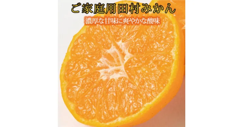 【ふるさと納税】 【ご家庭用訳あり】田村みかん【選べる容量】 ※2024年11月下旬頃～2025年1月下旬頃に順次発送予定(お届け日指定不可) / みかん フルーツ 果物 くだもの