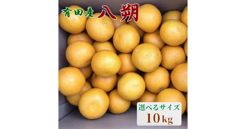 【ふるさと納税】【手選果】有田産の八朔10kg 【選べるサイズ】 ＜2025年1月下旬～2025年2月下旬頃より順次発送＞(お届け日指定不可) / 和歌山 八朔 みかん 柑橘 くだもの フルーツ