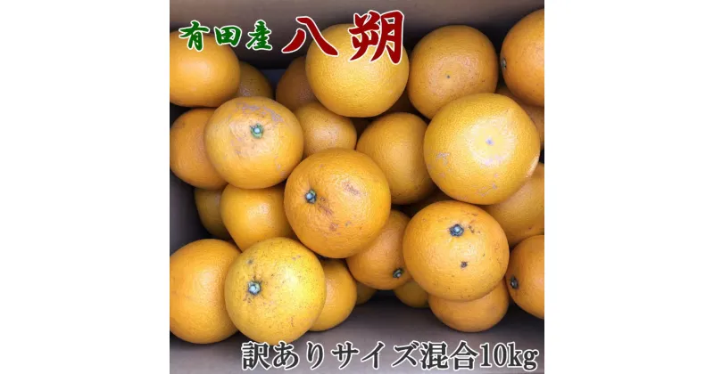 【ふるさと納税】【手選果・訳あり】有田産の八朔10kg（サイズ混合）＜2025年1月下旬～2025年2月下旬頃に順次発送＞(お届け日指定不可)