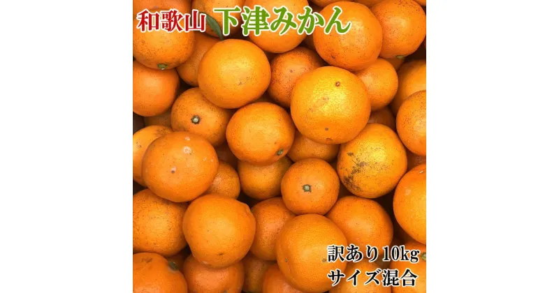 【ふるさと納税】【産直】和歌山下津みかん　10kg（訳ありサイズ混合）【2024年11月中旬～2025年1月中旬頃に順次発送】