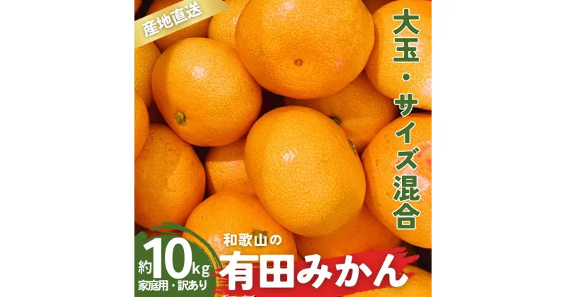 【ふるさと納税】家庭用 訳あり 有田みかん 和歌山 大玉(2L,3Lサイズ混合) 10kg 【10月上旬～1月下旬頃に順次発送】 / みかん フルーツ 果物 くだもの 有田みかん 蜜柑 柑橘