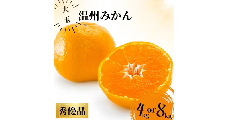 【ふるさと納税】秀優品 大玉 温州みかん 4kg～8kg 《 レビューキャンペーン 実施中 ! 》【2L～3Lサイズ】【2025年1月上旬から2025年2月下旬頃に順次発送】＜味好農園＞/ 温州 蜜柑 みかん 柑橘 果物 フルーツ ミカン