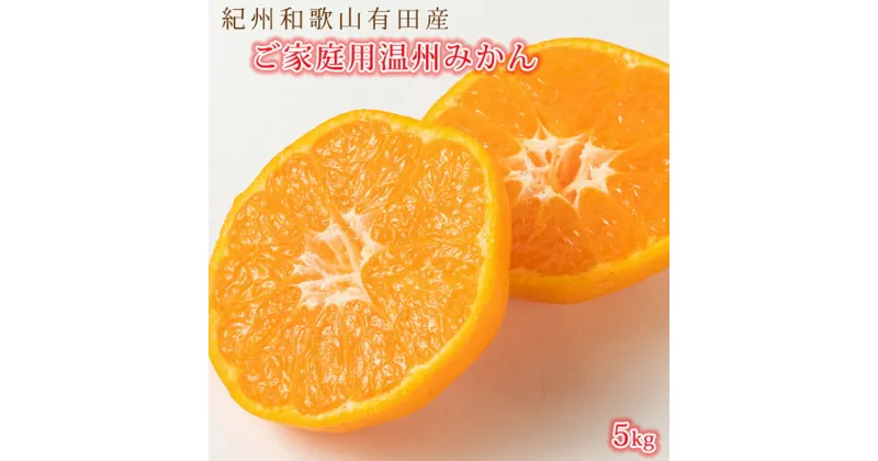 【ふるさと納税】【先行予約】紀州有田産 濃厚完熟 温州みかん 5kg 【家庭用 訳あり】 ※2024年11月下旬頃～2025年1月下旬頃に順次発送予定 / みかん ミカン 蜜柑 温州みかん 柑橘 フルーツ 果物 くだもの 和歌山