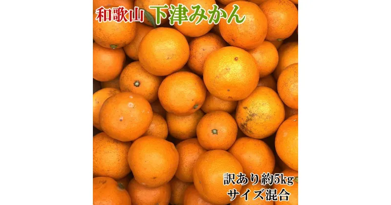 【ふるさと納税】【訳あり】和歌山下津みかん約5kgご家庭用向け(サイズ混合)　※2024年11月中旬～1月中旬頃順次発送予定（お届け日指定不可）