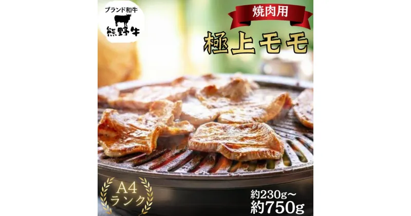 【ふるさと納税】【和歌山県特産和牛】《熊野牛》極上モモ　焼肉用　【選べる容量】　A4ランク｜国産 BBQ 高級肉 牛肉 ビーフ ※一部離島への配送不可 ※着日指定不可