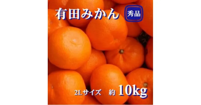 【ふるさと納税】紀州有田みかん　秀品 約10kg　 2Lサイズ　※2024年11月下旬頃より順次発送予定