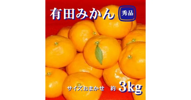 【ふるさと納税】紀州有田みかん　秀品 約10kg　 2Lサイズ　※2024年11月下旬頃より順次発送予定