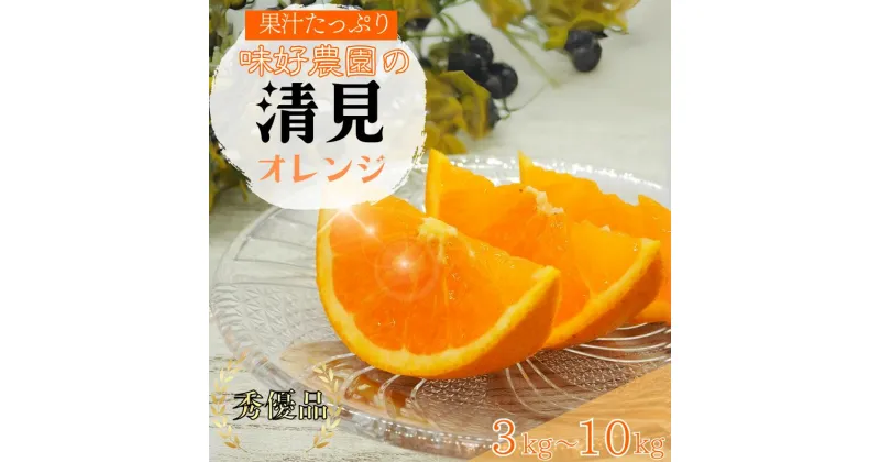 【ふるさと納税】 清見オレンジ 3kg 5kg 10kg 秀優品【S～3Lサイズ混合】【2025年3月中旬から4月中旬頃に順次発送】《 レビューキャンペーン 実施中 ! 》/ みかん 清見 和歌山 フルーツ 有田 果物 オレンジ 甘い ジューシー