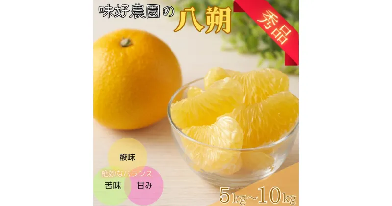 【ふるさと納税】秀優品 八朔 5kg～10kg 《 レビューキャンペーン 実施中 ! 》【M～3Lサイズ混合】【2025年2月上旬から4月中旬頃に順次発送】/みかん 八朔 和歌山 フルーツ 果物 柑橘 甘い ジューシー