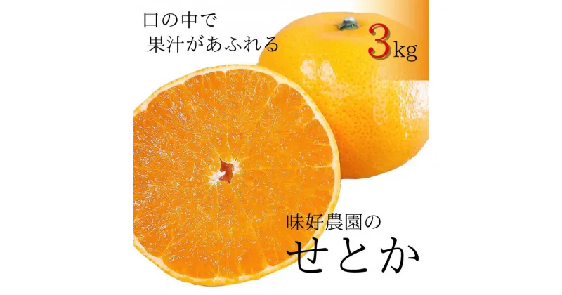 【ふるさと納税】 せとか 3kg 秀品 ╲地元で大人気 ! ／ 【M～2Lサイズ混合】【先行予約・数量限定】【2025年3月中旬から3月下旬頃に順次発送】〈味好農園〉《 レビューキャンペーン 実施中 ! 》 /ミカン 柑橘 フルーツ くだもの 甘い ジューシー 果汁があふれる