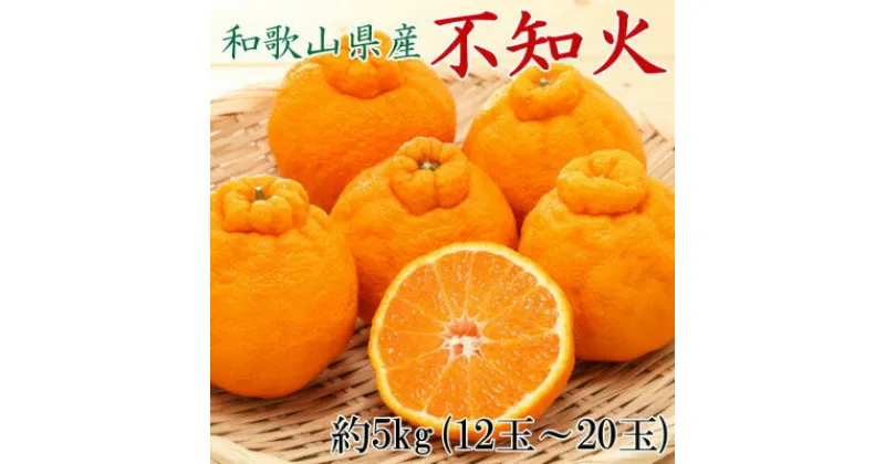 【ふるさと納税】和歌山県産不知火約5kg（12玉～20玉おまかせ）　※2025年2月下旬～2025年3月中旬頃発送予定（お届け日指定不可）