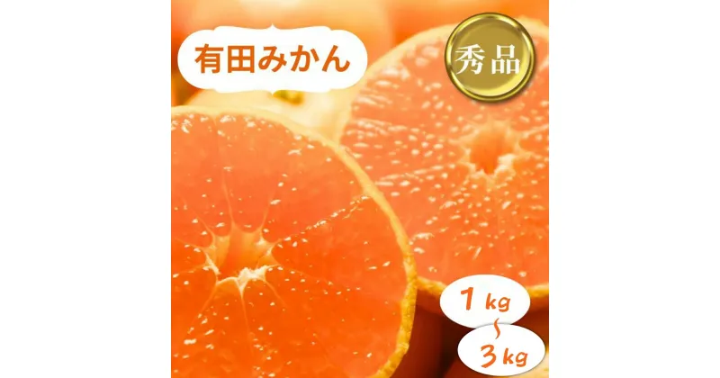 【ふるさと納税】【選べる容量】和歌山県産 有田みかん 秀品　1kgまたは3kg※2024年10月下旬〜2025年1月中旬頃に順次発送予定（お届け日指定不可）