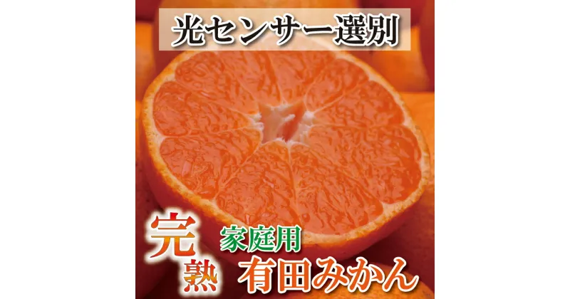 【ふるさと納税】【選べる容量】家庭用　完熟有田みかん【わけあり・訳あり】【光センサー選別】＜2024年11月上旬～2025年1月下旬より順次発送予定＞ / 和歌山 ミカン オレンジ 柑橘 フルーツ 果物 くだもの 旬 有田みかん みかん