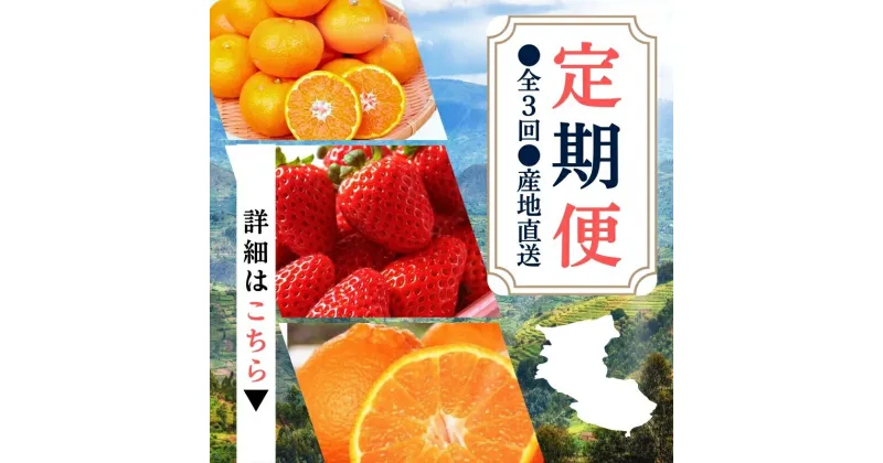 【ふるさと納税】【【定期便】●全3回● 産地直送 定期便【温州みかん・まりひめ・紀州デコ】 / フルーツ 果物 みかん いちご 旬 定期便