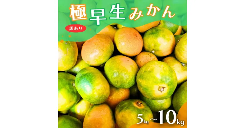 【ふるさと納税】《 額田農園限定レビューキャンペーン対象 》【訳あり】こだわりの極早生みかん 選べる容量 ※2024年10月上旬より順次発送予定（お届け日指定不可） 有田産 有田 みかん サイズ混合