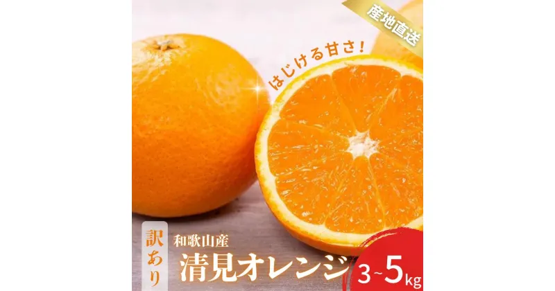 【ふるさと納税】【先行予約】 訳あり きよみ 清美オレンジ 和歌山 有田 2S～3Lサイズ混合 【選べる容量】 3kg 5kg 【2月中旬～3月下旬頃に順次発送】/ みかん フルーツ 果物 くだもの 蜜柑 柑橘