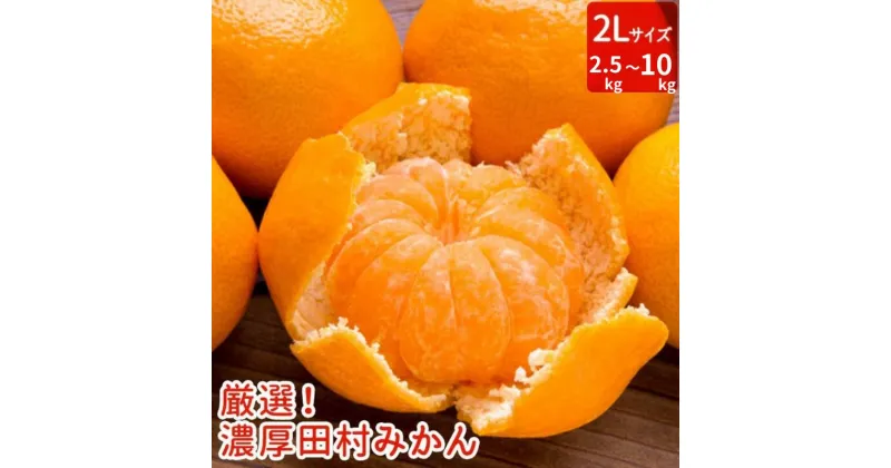 【ふるさと納税】【和歌山特産品】【プレミアムブランド】絶品!濃厚田村みかん 〔2Lサイズ〕 秀品 【選べる容量】 2.5kg 5kg 10kg ※2024年11月下旬～12月下旬頃に順次発送予定 ※北海道・沖縄・離島への配送不可 / みかん ミカン 柑橘オレンジ フルーツ 果物 旬