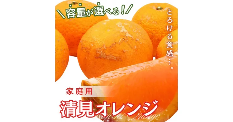 【ふるさと納税】＜2月より発送＞家庭用 清見オレンジ 2kg 3.5kg 5.5kg 7.5kg （傷み補償分付）【光センサー食頃出荷】【樹上完熟きよみオレンジ・清見タンゴール・清美】【わけあり・訳あり】＜2025年2月～3月下旬ごろに順次発送＞ ※北海道・沖縄・離島への配送不可