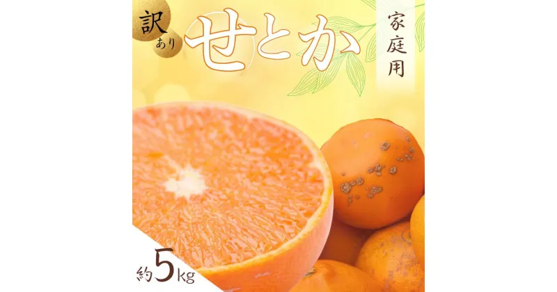 【ふるさと納税】＜2月より発送＞ 家庭用 せとか 5kg+150g （傷み補償分） 【柑橘・春みかんの王様】 【わけあり・訳あり】 【光センサー選果・食べ頃出荷】※北海道・沖縄・離島配送不可 ※2025年2月上旬～3月下旬ごろに順次発送予定