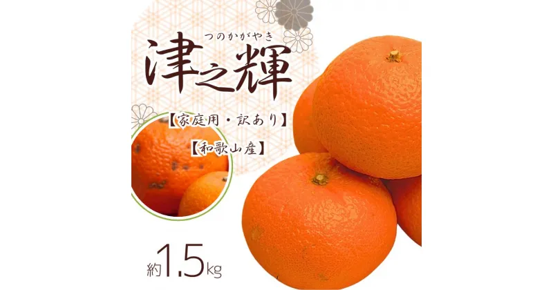 【ふるさと納税】＜2月より発送＞家庭用 津之輝1.5kg+45g（傷み補償分）つのかがやき【わけあり・訳あり】【光センサー選別】※北海道・沖縄・離島への配送不可 ※2025年2月～4月中旬ごろに順次発送予定