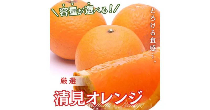 【ふるさと納税】＜2月より発送＞厳選 清見オレンジ 1.5kg 2.5kg 4kg 5kg （傷み補償分）【光センサー食頃出荷】【樹上完熟きよみオレンジ・清見タンゴール・清美】＜2025年2月～3月下旬ごろに順次発送＞ ※北海道・沖縄・離島への配送不可 / オレンジ 清見 みかん くだもの