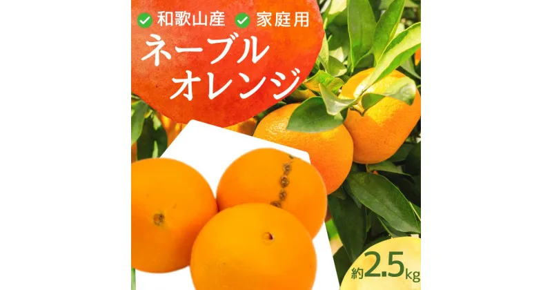 【ふるさと納税】＜2月より発送＞家庭用 ネーブルオレンジ2.5kg+75g（傷み補償分）【訳あり・わけあり】【光センサー選別】※北海道・沖縄・離島への配送不可 ※2025年2月～2月下旬ごろに順次発送予定