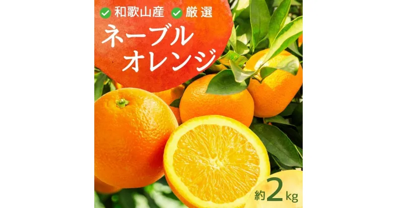 【ふるさと納税】 ＜2月より発送＞ 厳選 ネーブルオレンジ 2kg+60g（傷み補償分）【光センサー選別】 ※北海道・沖縄・離島への配送不可 ※2025年2月上旬～3月下旬ごろに順次発送予定