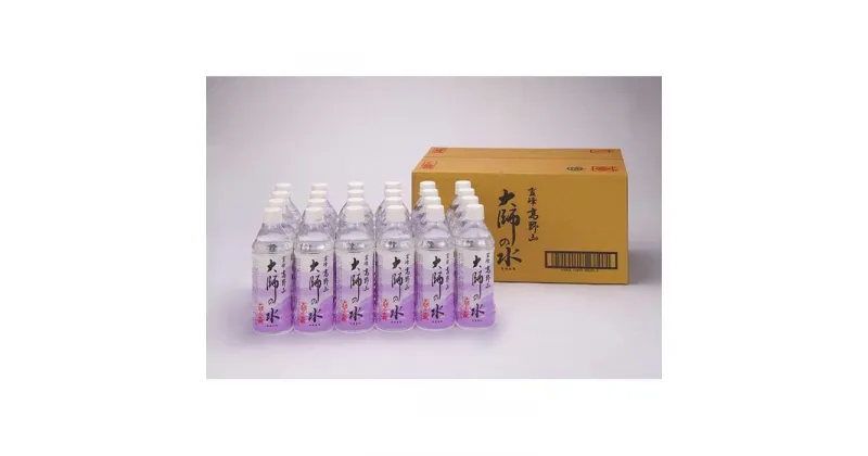 【ふるさと納税】大師の水500ml（24本入）1ケース