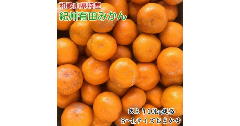 【ふるさと納税】[訳あり]和歌山有田みかん約10kg(S～Lサイズいずれかお届け）★2024年11月中旬頃より順次発送【TM82】