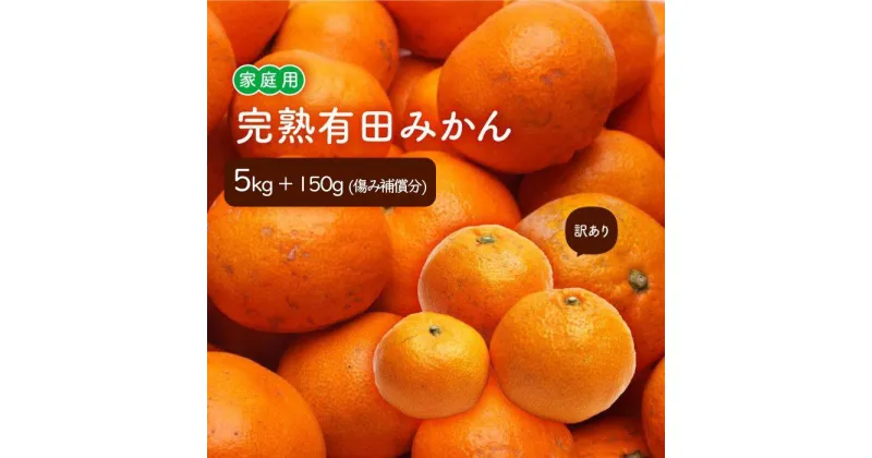 【ふるさと納税】＜11月より発送＞家庭用 完熟有田みかん3kg+90g（傷み補償分）訳あり | フルーツ 果物 くだもの 食品 人気 おすすめ 送料無料