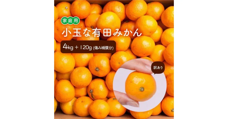 【ふるさと納税】＜11月より発送＞家庭用 小玉な有田みかん3kg+90g（傷み補償分）訳あり | 有田みかん みかん 柑橘 果物 フルーツ 先行予約 返礼品 お取り寄せ 和歌山 かつらぎ くだもの 食品 人気 おすすめ 送料無料