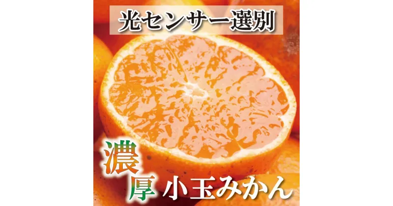 【ふるさと納税】＜11月より発送＞家庭用 小玉な有田みかん5kg+150g（傷み補償分）訳あり | フルーツ 果物 くだもの 食品 人気 おすすめ 送料無料