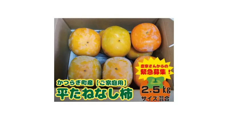 【ふるさと納税】たねなし柿　ご家庭用（傷有り）約2.5kg【2024年10月上旬から2024年11月上旬頃順次発送】 | フルーツ 果物 くだもの 食品 人気 おすすめ 送料無料 先行予約 数量限定 種無し たねなし かき