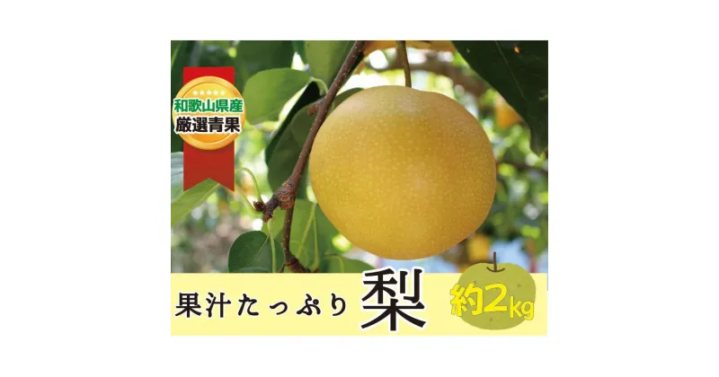 【ふるさと納税】果汁滴る絶品の梨(約2Kg）【2025年8月中旬～2025年9月上旬頃順次発送】 | フルーツ 果物 くだもの 食品 人気 おすすめ 送料無料 先行予約 数量限定 なし 絶品