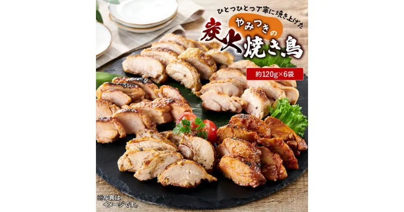 【ふるさと納税】ひとつひとつ丁寧に焼き上げた、やみつきの「炭火焼き鳥」6パック【順次発送】 | 食品 おかず 加工食品 和食 人気 おすすめ 送料無料