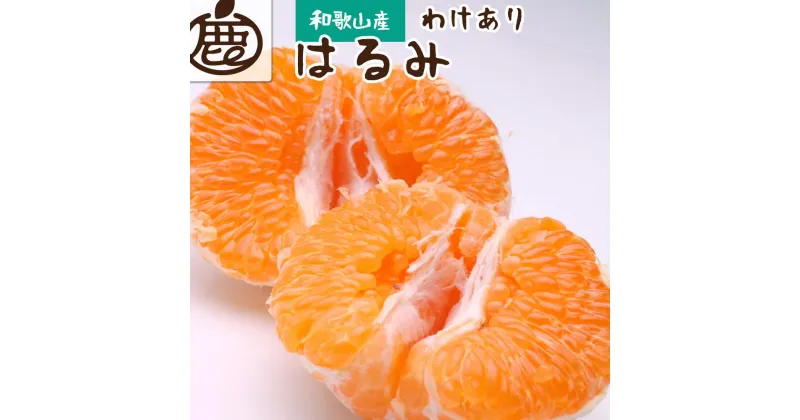 【ふるさと納税】＜2月より発送＞家庭用 はるみ2.5kg+75g（傷み補償分）【不知火の姉妹品種・新食感春みかん】【光センサー選別】【わけあり・訳あり】 | フルーツ 果物 くだもの 食品 人気 おすすめ 送料無料