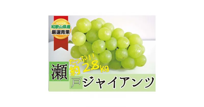 【ふるさと納税】瀬戸ジャイアンツ 約 2.5kg ★数量限定・大人気★【2025年8月下旬～2025年9月中旬頃順次発送】 | 果物 フルーツ ぶどう 葡萄 ブドウ　瀬戸ジャイアンツ スイーツ かつらぎ町産 青果 食品 人気 おすすめ 送料無料