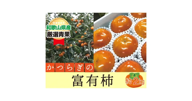 【ふるさと納税】柿 富有柿【秀品】和歌山県産 約2kg【2024年11月中旬～2024年12月上旬発送】 | フルーツ 果物 くだもの 食品 人気 おすすめ 送料無料