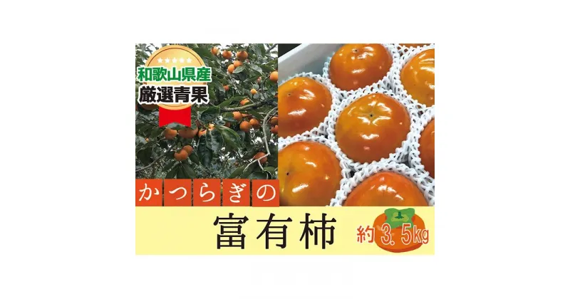 【ふるさと納税】柿 富有柿【秀品】和歌山県産 約3.5kg【2024年11月中旬～2024年12月上旬発送】 | フルーツ 果物 くだもの 食品 人気 おすすめ 送料無料